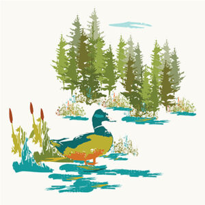 Watercolor style trees, flowers, and duck design for the D'Novo Designs stationery and packaging collection