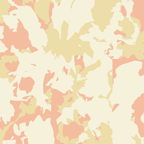 SUNNY STONE BLUSH SUNNY STONE BLUSH